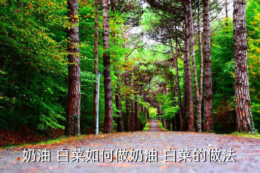 奶油 白菜如何做奶油 白菜的做法
