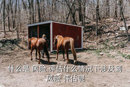 什么是 風險 評估什么情況下涉及到 風險 評估呢