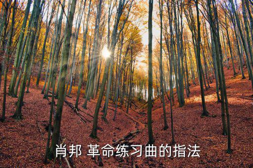  肖邦 革命練習曲的指法
