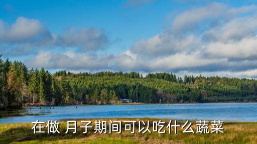 在做 月子期間可以吃什么蔬菜