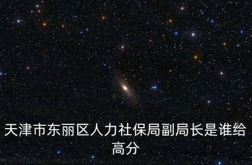 天津市東麗區人力社保局副局長是誰給高分