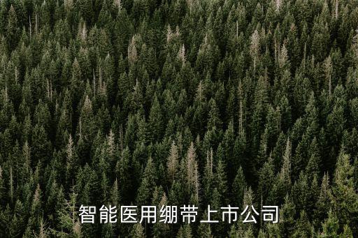 智能醫(yī)用繃帶上市公司