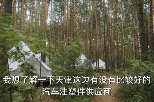 天津市靜雙海翔汽車部件有限公司，請問TTAP公司的全稱是什么非常謝謝