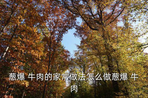 蔥爆 牛肉的家常做法怎么做蔥爆 牛肉