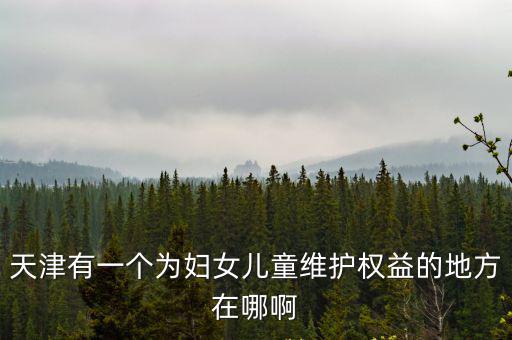 天津有一個為婦女兒童維護權(quán)益的地方在哪啊