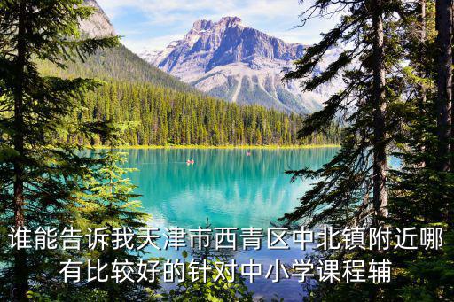 誰能告訴我天津市西青區中北鎮附近哪有比較好的針對中小學課程輔