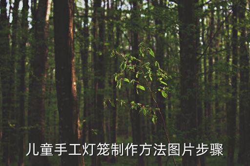 宮燈圖片,中國(guó)民間工藝品扎燈籠慶國(guó)強(qiáng)民富國(guó)強(qiáng)