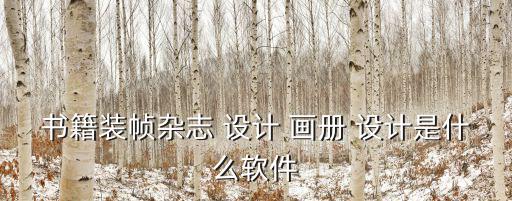 書籍裝幀雜志 設(shè)計(jì) 畫冊 設(shè)計(jì)是什么軟件
