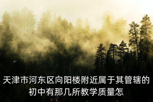 天津市河東區(qū)向陽樓附近屬于其管轄的初中有那幾所教學質(zhì)量怎