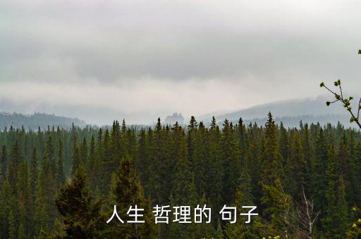  人生 哲理的 句子