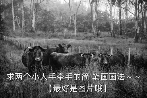 求兩個小人手牽手的簡 筆畫畫法～～【最好是圖片哦】