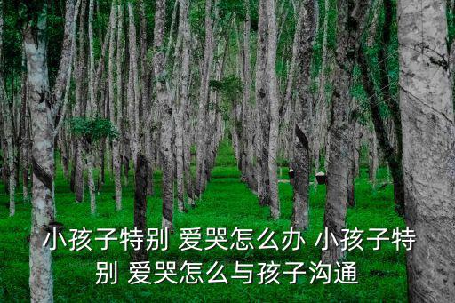  小孩子特別 愛哭怎么辦 小孩子特別 愛哭怎么與孩子溝通