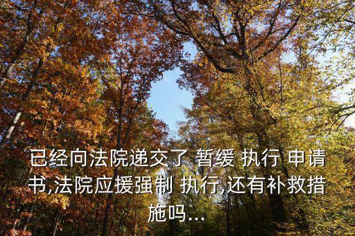 已經向法院遞交了 暫緩 執行 申請書,法院應援強制 執行,還有補救措施嗎...