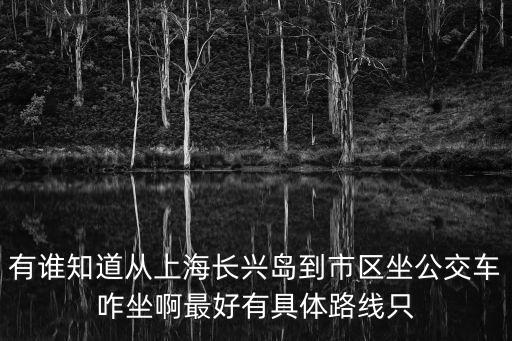有誰知道從上海長興島到市區坐公交車咋坐啊最好有具體路線只