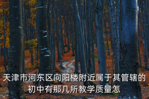 天津市河東區哪個初中招轉學生，天津市河東區良C可以考到那個中學