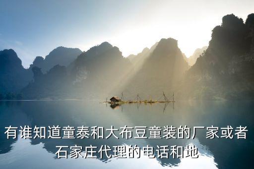 有誰知道童泰和大布豆童裝的廠家或者石家莊代理的電話和地