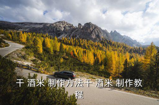 干 酒米 制作方法干 酒米 制作教程