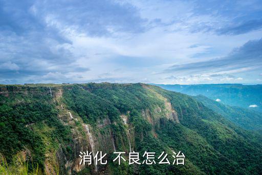  消化 不良怎么治
