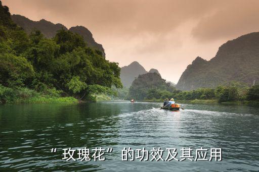 玫瑰花有什么功效,女性月經期間出血量過多應避免用玫瑰花