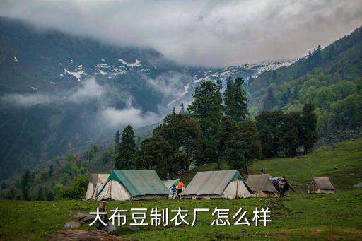 天津市大布豆制衣有限公司，請(qǐng)問那里的服裝廠有大布賣