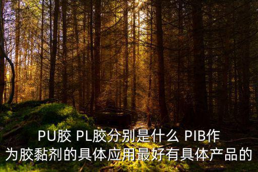 PU膠 PL膠分別是什么 PIB作為膠黏劑的具體應(yīng)用最好有具體產(chǎn)品的