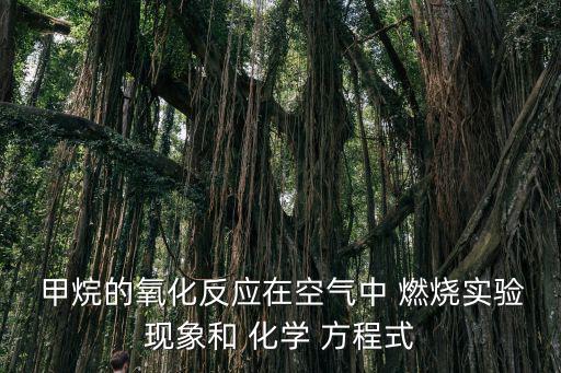  甲烷的氧化反應在空氣中 燃燒實驗現象和 化學 方程式