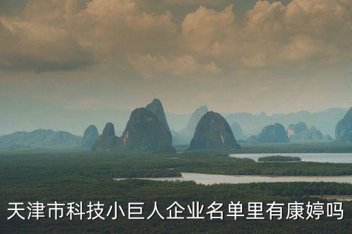 天津市科技小巨人企業名單里有康婷嗎