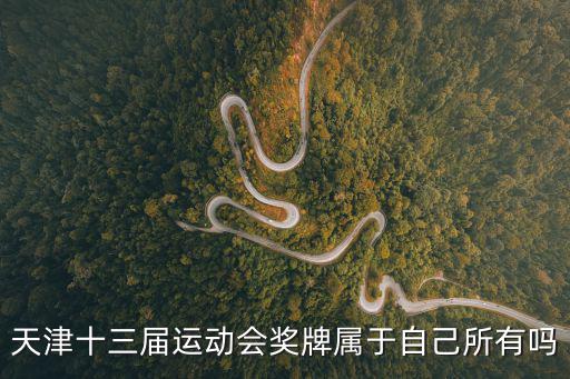 天津十三屆運動會獎牌屬于自己所有嗎