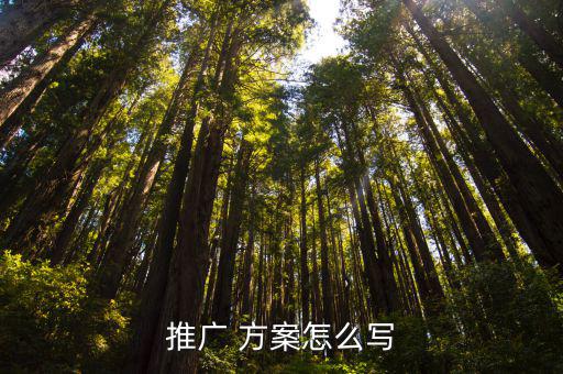 推廣 方案怎么寫