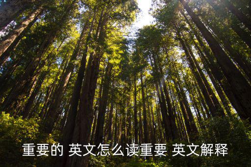 重要英文,重要性與價(jià)值意義重大（四））