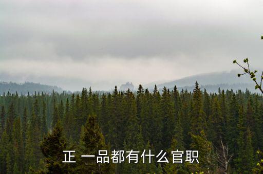 正一品,中國古代官職分九等一品幾乎和現在政治主席一樣大