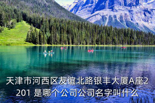 天津市河西區(qū)友誼北路銀豐大廈A座2201 是哪個公司公司名字叫什么