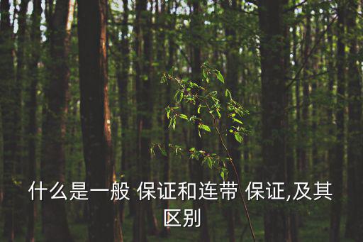 什么是一般 保證和連帶 保證,及其區別