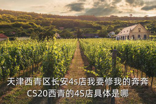 天津西青區(qū)長(zhǎng)安4s店我要修我的奔奔CS20西青的4S店具體是哪