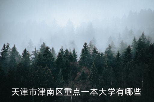 天津市在津南的大學(xué)，天津市津南區(qū)大學(xué)城都有哪些學(xué)校