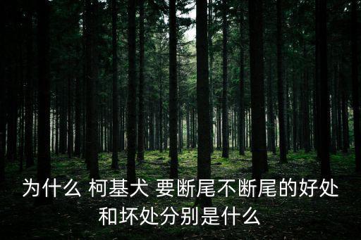 為什么 柯基犬 要斷尾不斷尾的好處和壞處分別是什么