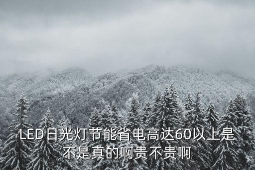 LED日光燈節(jié)能省電高達(dá)60以上是不是真的啊貴不貴啊