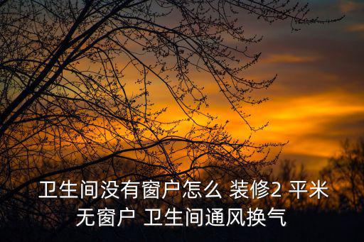  衛生間沒有窗戶怎么 裝修2 平米無窗戶 衛生間通風換氣