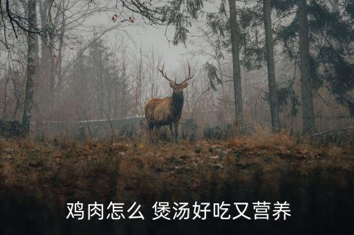  雞肉怎么 煲湯好吃又營養(yǎng)