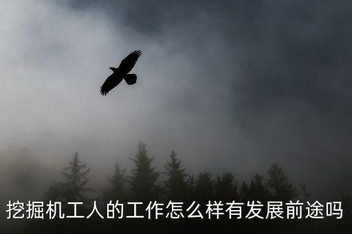 挖掘機(jī)工人的工作怎么樣有發(fā)展前途嗎