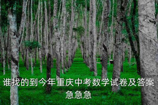 誰找的到今年重慶中考數學試卷及答案急急急