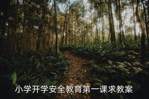 小學開學安全教育第一課求教案