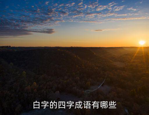 白字的四字成語有哪些