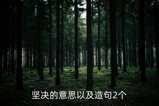 堅(jiān)決的意思以及造句2個(gè)