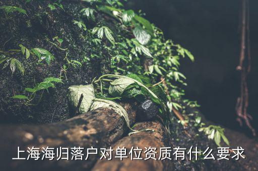 上海海歸落戶對單位資質有什么要求