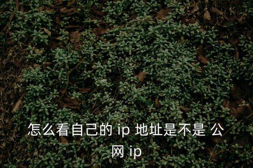 怎么看自己的 ip 地址是不是 公網 ip