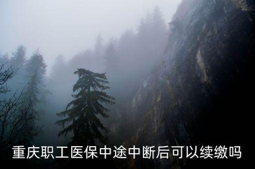 重慶職工醫(yī)保中途中斷后可以續(xù)繳嗎
