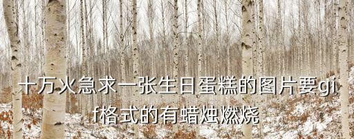 女孩生日蛋糕圖片，十萬火急求一張生日蛋糕的圖片要gif格式的有蠟燭燃燒