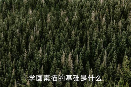 學畫素描的基礎是什么