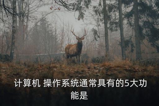 計算機操作,計算機操作基礎(chǔ)有哪些?